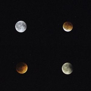 Meet your Posher, Beanna